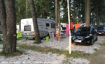 Bild: Die Stellpl&auml;tze auf dem Campingplatz Arneitz am Faaker See sind ausreichend gro&szlig; und liegen gr&ouml;&szlig;tenteils in einem kleinen Wald.