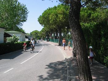 Bild: Der Platz Marina di Venezia ist sehr gepflegt.
