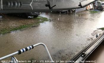 Bild: Bei Unwettern sorgen die Pinien jedoch schnell f&uuml;r Probleme, da die Nadeln selbiger gerne die Gullis verstopfen und somit f&uuml;r Hochwasser sorgen.